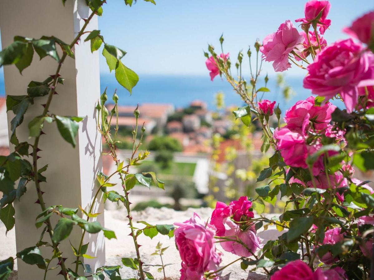 Apartment Faros دوبروفينك المظهر الخارجي الصورة